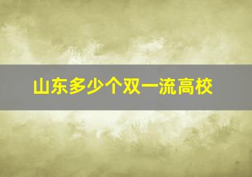 山东多少个双一流高校