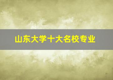 山东大学十大名校专业