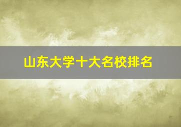 山东大学十大名校排名