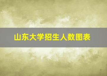 山东大学招生人数图表