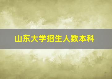 山东大学招生人数本科