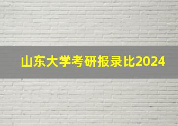 山东大学考研报录比2024