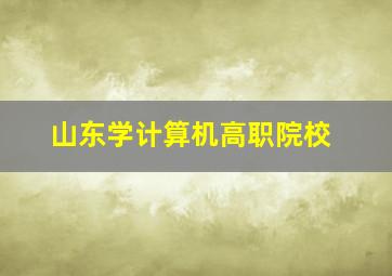 山东学计算机高职院校