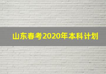 山东春考2020年本科计划