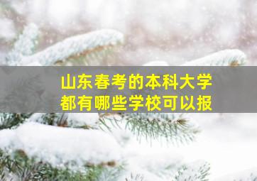 山东春考的本科大学都有哪些学校可以报