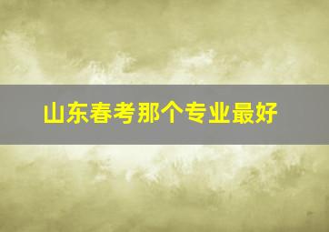 山东春考那个专业最好