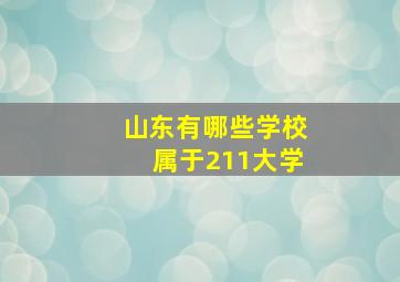 山东有哪些学校属于211大学