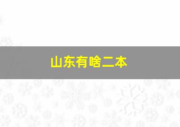 山东有啥二本