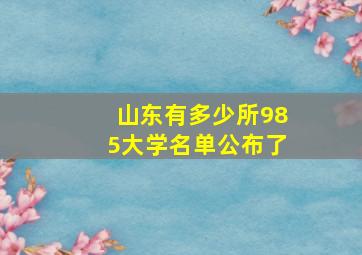 山东有多少所985大学名单公布了