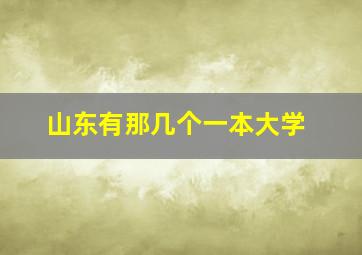 山东有那几个一本大学