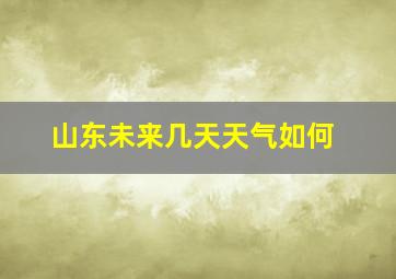 山东未来几天天气如何