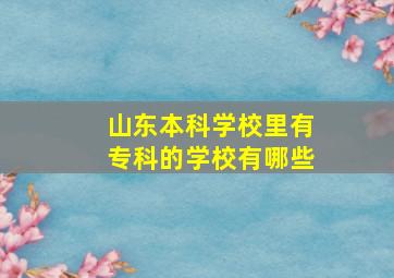 山东本科学校里有专科的学校有哪些