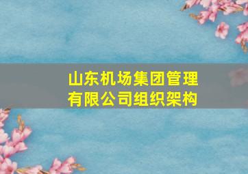 山东机场集团管理有限公司组织架构