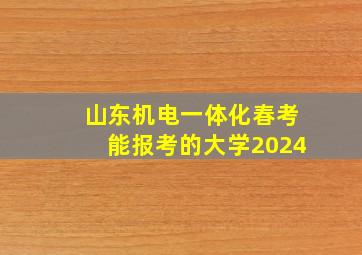 山东机电一体化春考能报考的大学2024