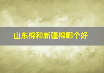 山东棉和新疆棉哪个好