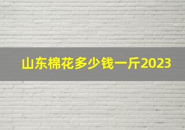 山东棉花多少钱一斤2023