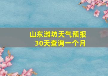 山东潍坊天气预报30天查询一个月