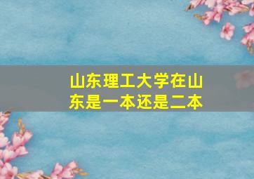 山东理工大学在山东是一本还是二本