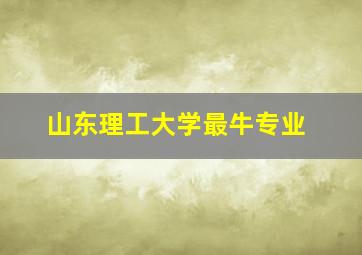 山东理工大学最牛专业