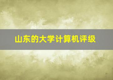 山东的大学计算机评级