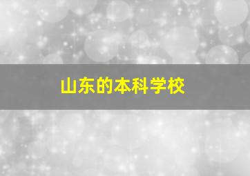 山东的本科学校