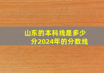 山东的本科线是多少分2024年的分数线