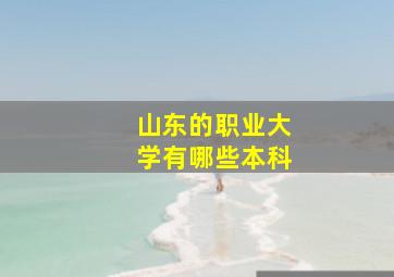 山东的职业大学有哪些本科