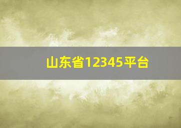 山东省12345平台