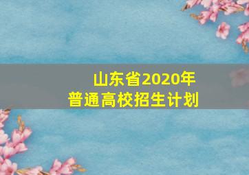 山东省2020年普通高校招生计划