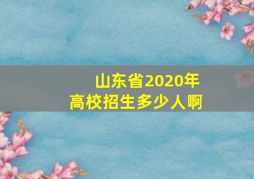 山东省2020年高校招生多少人啊