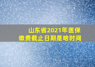 山东省2021年医保缴费截止日期是啥时间