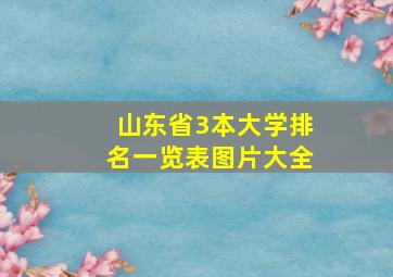 山东省3本大学排名一览表图片大全