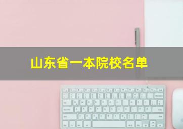 山东省一本院校名单