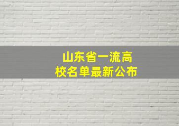 山东省一流高校名单最新公布