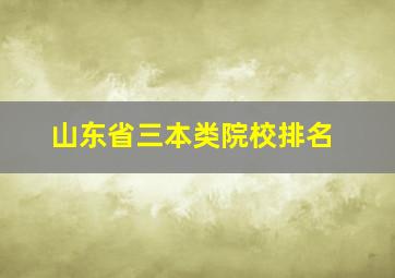 山东省三本类院校排名