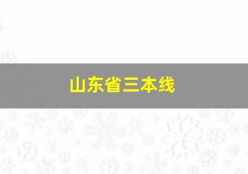 山东省三本线