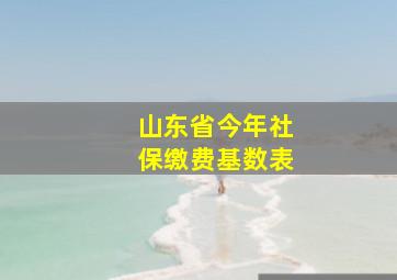 山东省今年社保缴费基数表