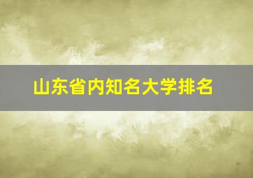 山东省内知名大学排名