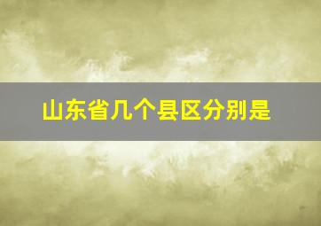 山东省几个县区分别是