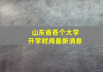 山东省各个大学开学时间最新消息