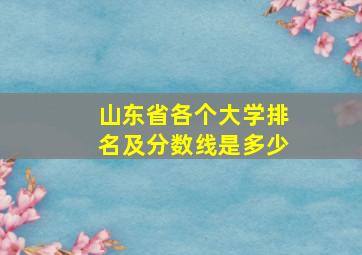 山东省各个大学排名及分数线是多少