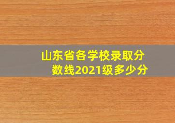 山东省各学校录取分数线2021级多少分