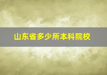 山东省多少所本科院校