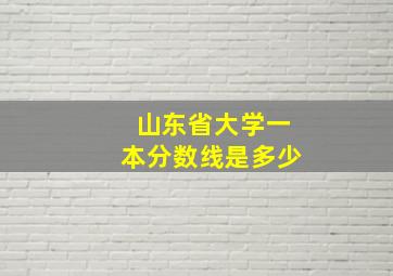 山东省大学一本分数线是多少