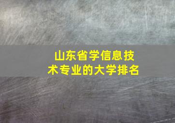 山东省学信息技术专业的大学排名