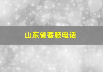 山东省客服电话