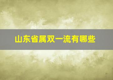 山东省属双一流有哪些