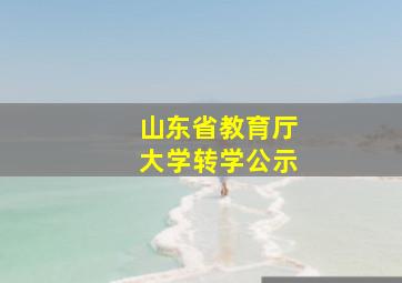 山东省教育厅大学转学公示