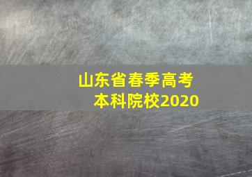 山东省春季高考本科院校2020