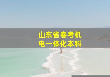 山东省春考机电一体化本科